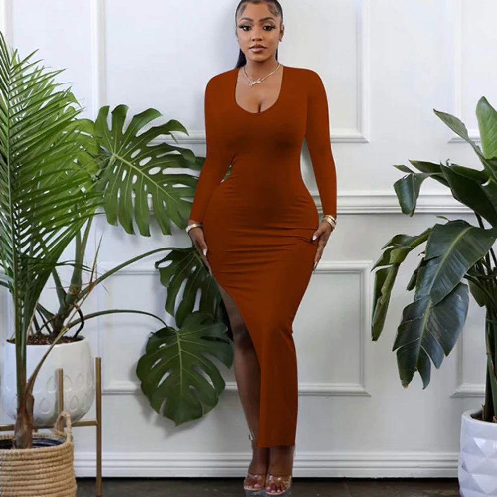 Elegant Brown Long Sleeve Dress
